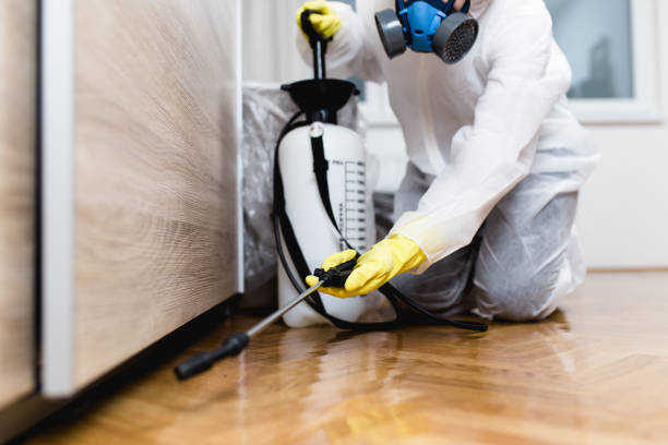 Best Exterminator Services  in Coal Fork, WV
