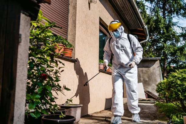 Best Pest Control Treatment  in Coal Fork, WV