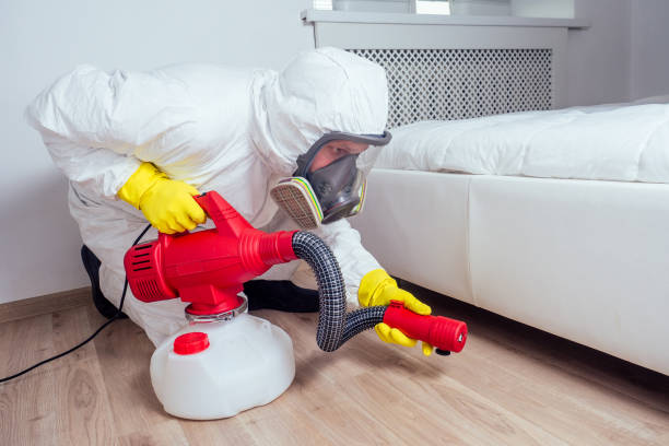 Best Pest Inspection Near Me  in Coal Fork, WV
