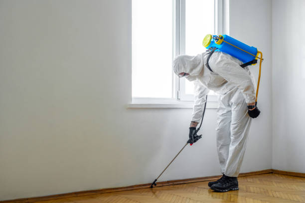 Best Local Pest Control Services  in Coal Fork, WV