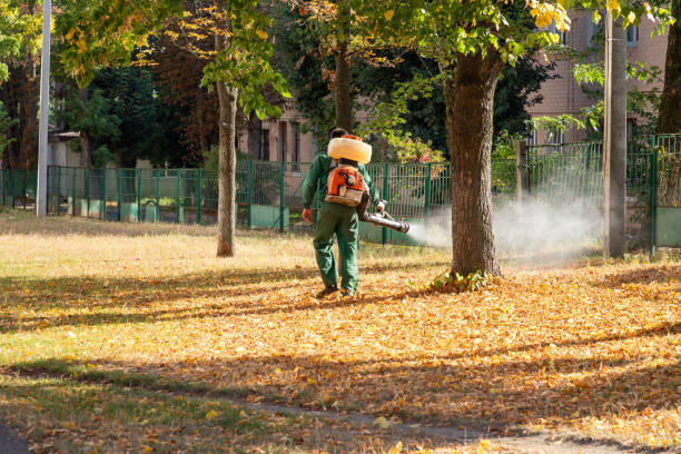 Best Affordable Pest Control Services  in Coal Fork, WV