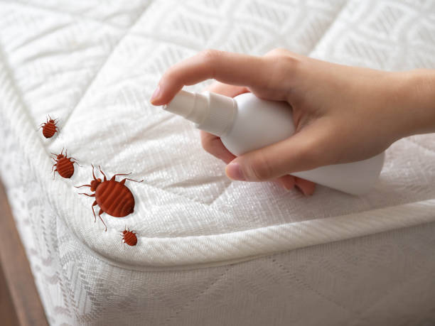 Best Best Pest Control Companies  in Coal Fork, WV
