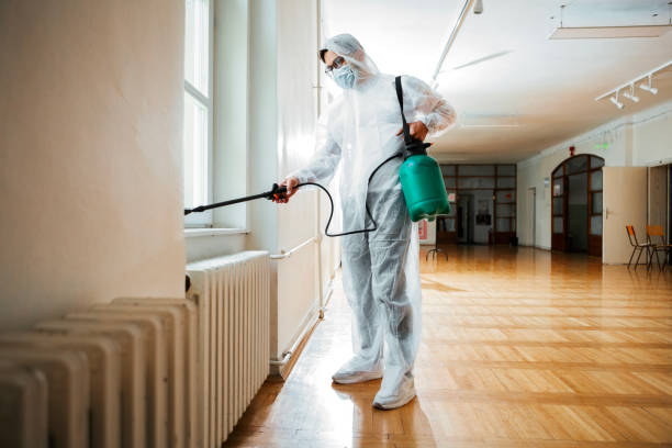 Best Bed Bug Extermination  in Coal Fork, WV