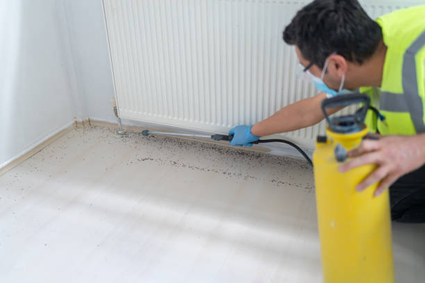 Best Commercial Pest Control Services  in Coal Fork, WV