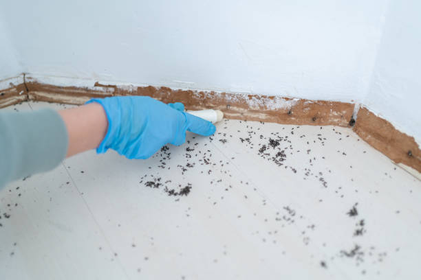 Best Wildlife Control Services  in Coal Fork, WV