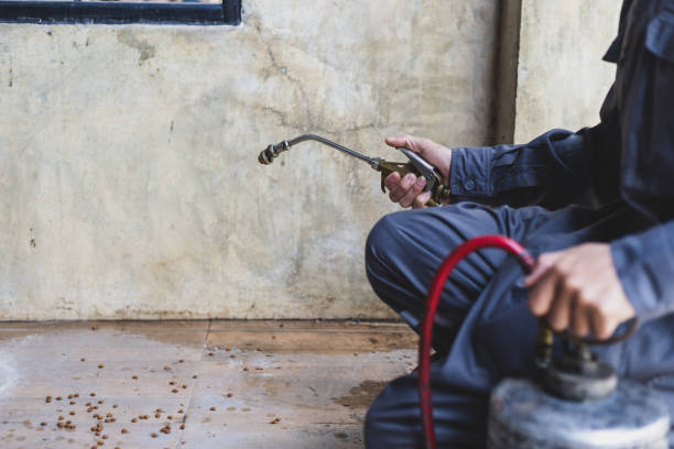 Best Cockroach Control Services  in Coal Fork, WV